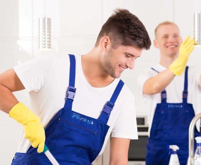Focused co-workers are cleaning modern kitchen